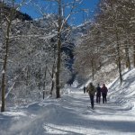 Pista escursionistica per camminatori e fondisti 